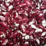 Великий асортимент високоякісної квасолі оптом (більше 20 сортів)