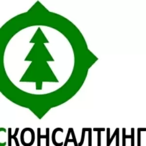 УКРЛІСКОНСАЛТИНГ