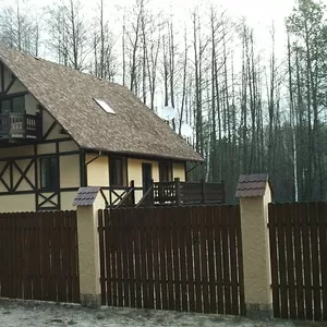 Дом в с. Левков,  Житомирский район,  200 кв.м,  10 соток земли.
