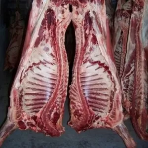 Реализуем мясо свинины,  говядины