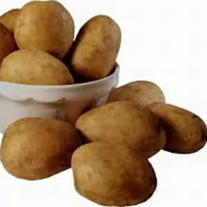 Срочно реализуем картофель по оптовым ценам