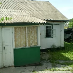 Продам дом в с. Троянов Житомирского р-ну