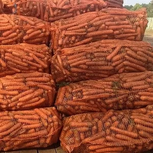 Морковь от производителя оптом
