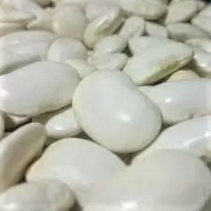 Купуємо квасолю білу та кольорову. Заберемо своїм транспортом