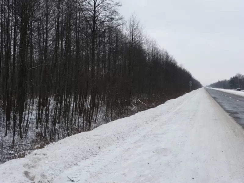 Коммерческий земельный участок