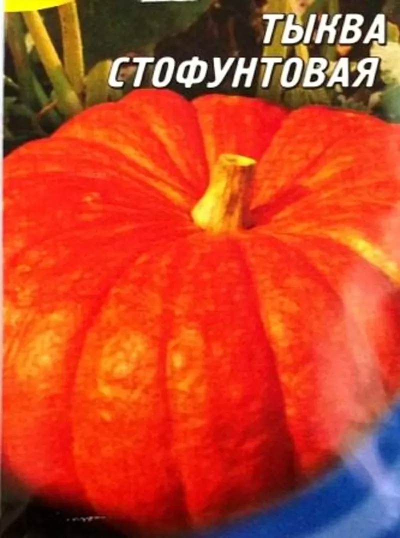 семена овощных,  пряновкусовых,  лекарственных,  редких культур 13