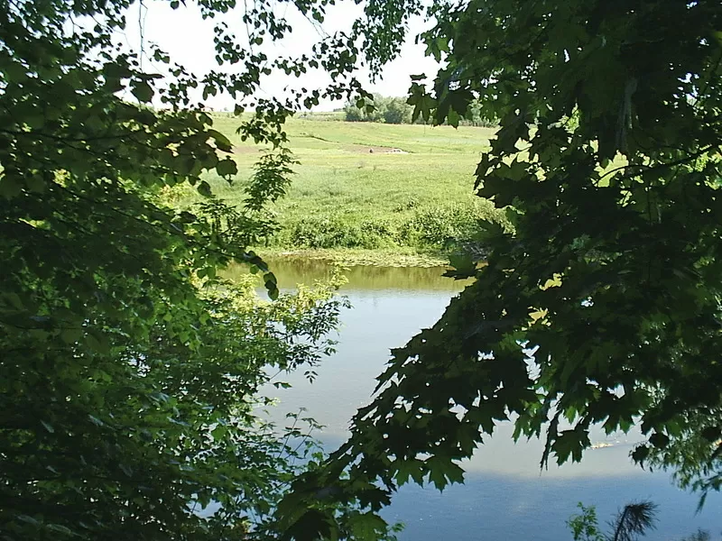 Продается дом в с. Великі Кошарища,  на берегу реки,  рядом лес. 7