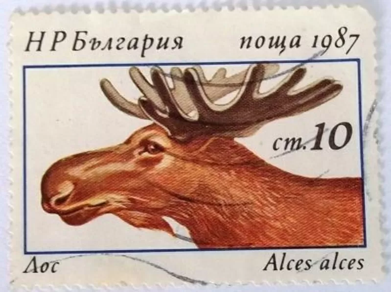 марки Болгарии - фауна 8