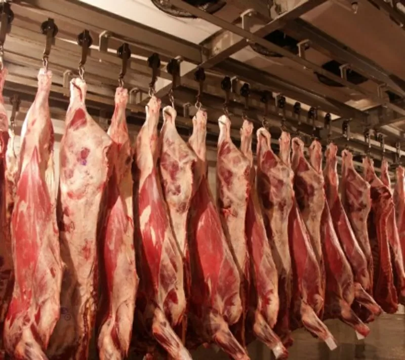 Реализуем мясо свинины,  говядины 2
