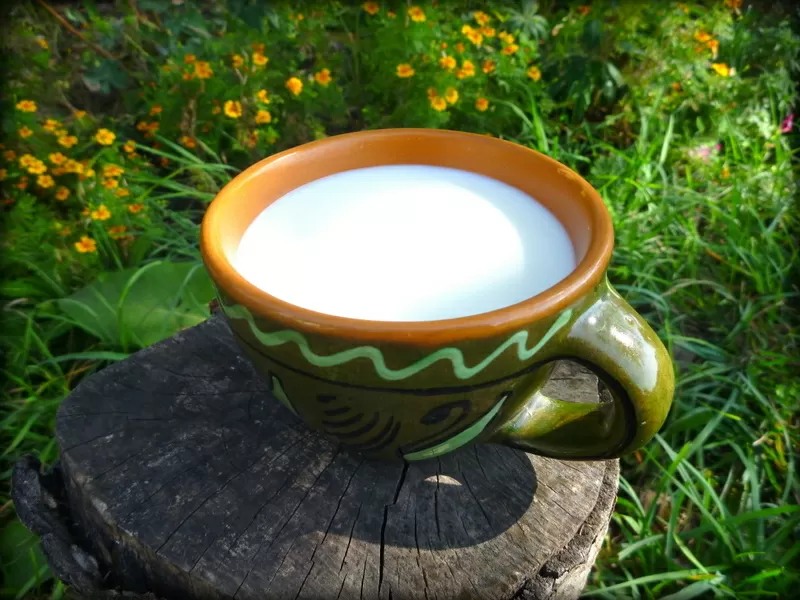 Молоко козье,  брынза в Житомире