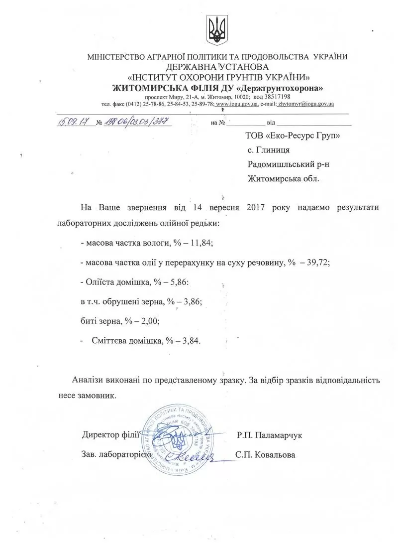 продам олийну редьку