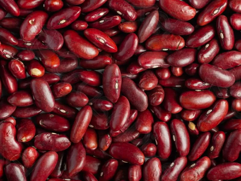 Оптовий продаж квасолі з доставкою